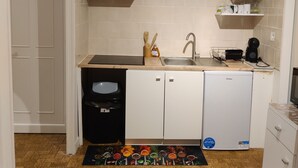 Una cuina compacta amb rentaplats, un rentamics, una placa de cocció i un frigorífic.