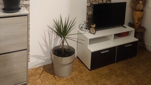 Un saló amb una paret de pedra, un mirall rodó, una planta en test, un televisor sobre un suport blanc i una taula petita amb objectes decoratius.