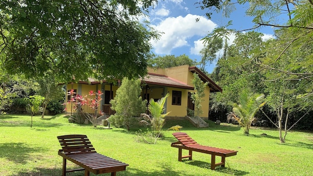 Une maison avec une pelouse bien entretenue, deux fauteuils de jardin en bois et une variété d’arbres et de plantes tout autour.