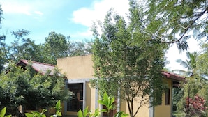 Une maison avec un toit rouge, des murs de couleur beige et un petit jardin agrémenté d’un arbre et de quelques arbustes.