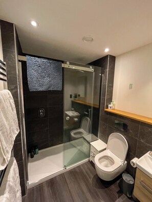 Dusche, Haartrockner, Handtücher, Seife