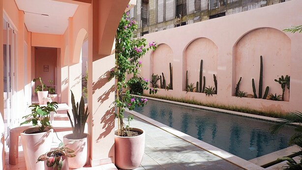 A poolside area with potted plants and cacti. - PONDER Bali (Canggu)