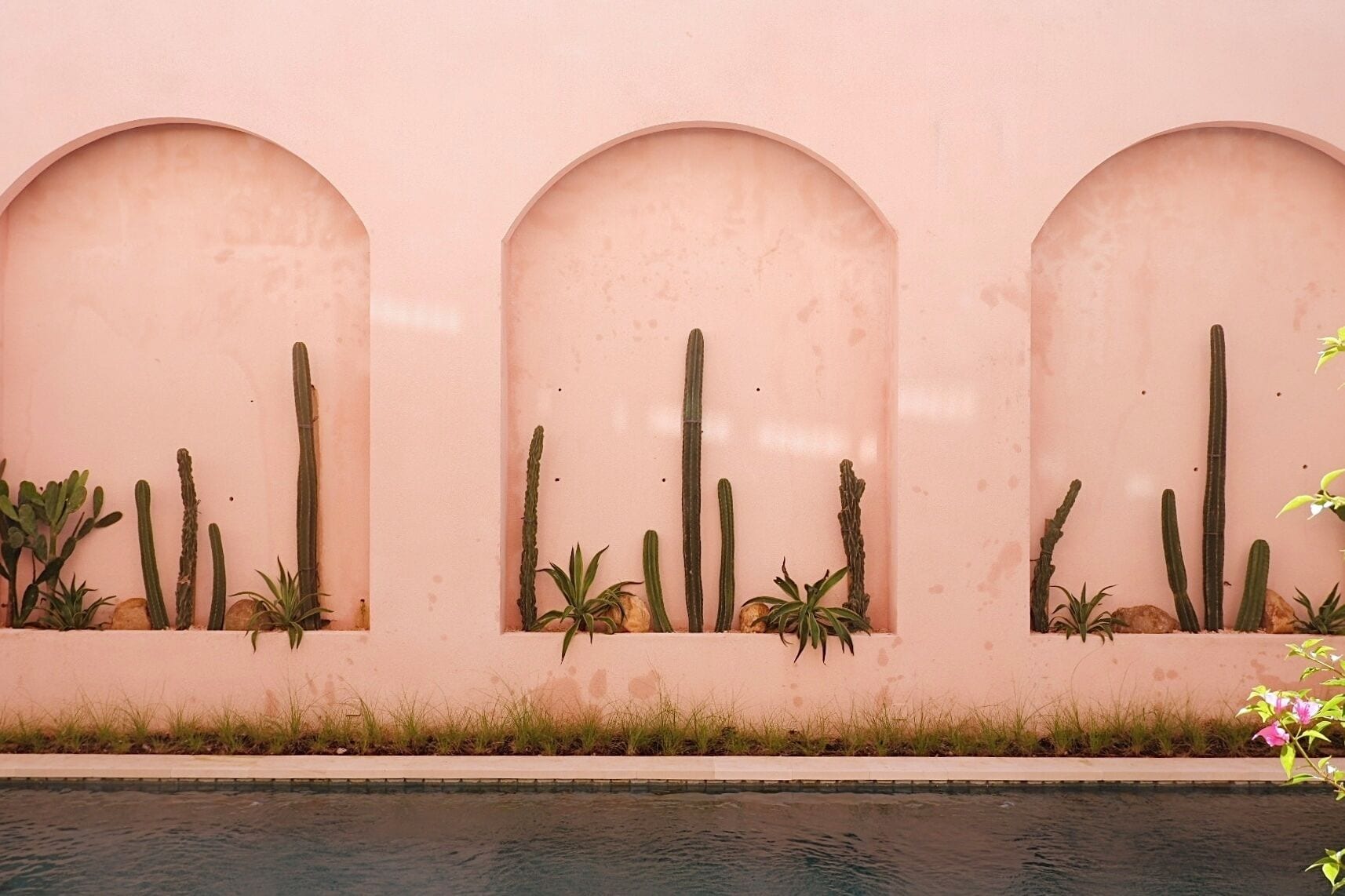 A wall with three arched windows, each containing cacti and succulents.