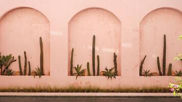 Un muro con tre finestre ad arco, ognuna con cactus e piante grasse.