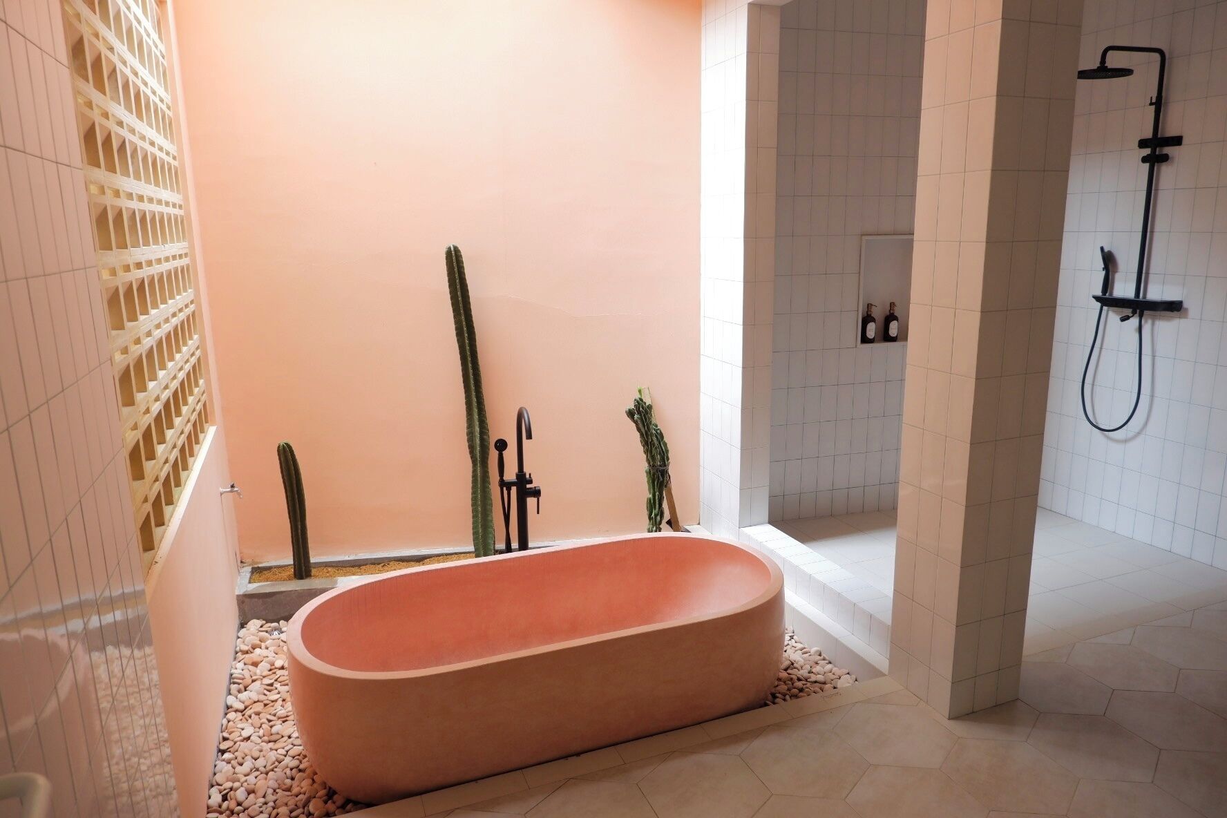 Une salle de bain moderne avec une baignoire sur pieds, une douche et un cactus.
