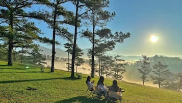 Desk, laptop workspace, free WiFi