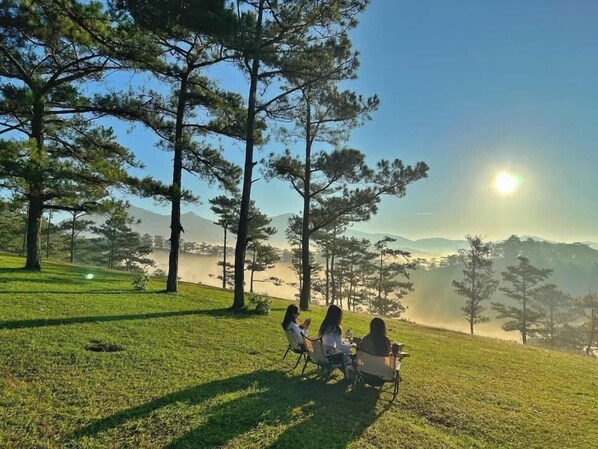 Escritorio, espacio para trabajar con un portátil, wifi gratis