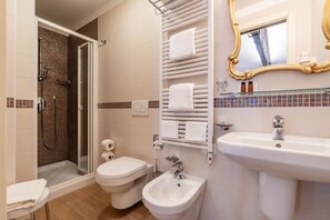 Shower, hair dryer, bidet, towels