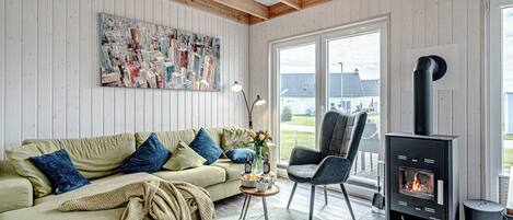 Televisión, chimenea, reproductor de DVD, libros