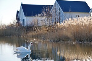 Overnatningsstedets område