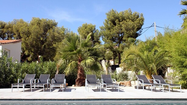 Un espace aménagé au bord de la piscine, avec des chaises longues et des palmiers.