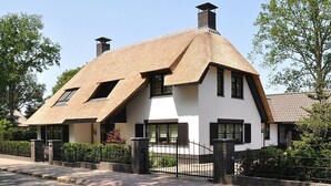 A traditional house with a steeply pitched roof, white walls, and black trim. - Cottage mouse (Hoofddorp)