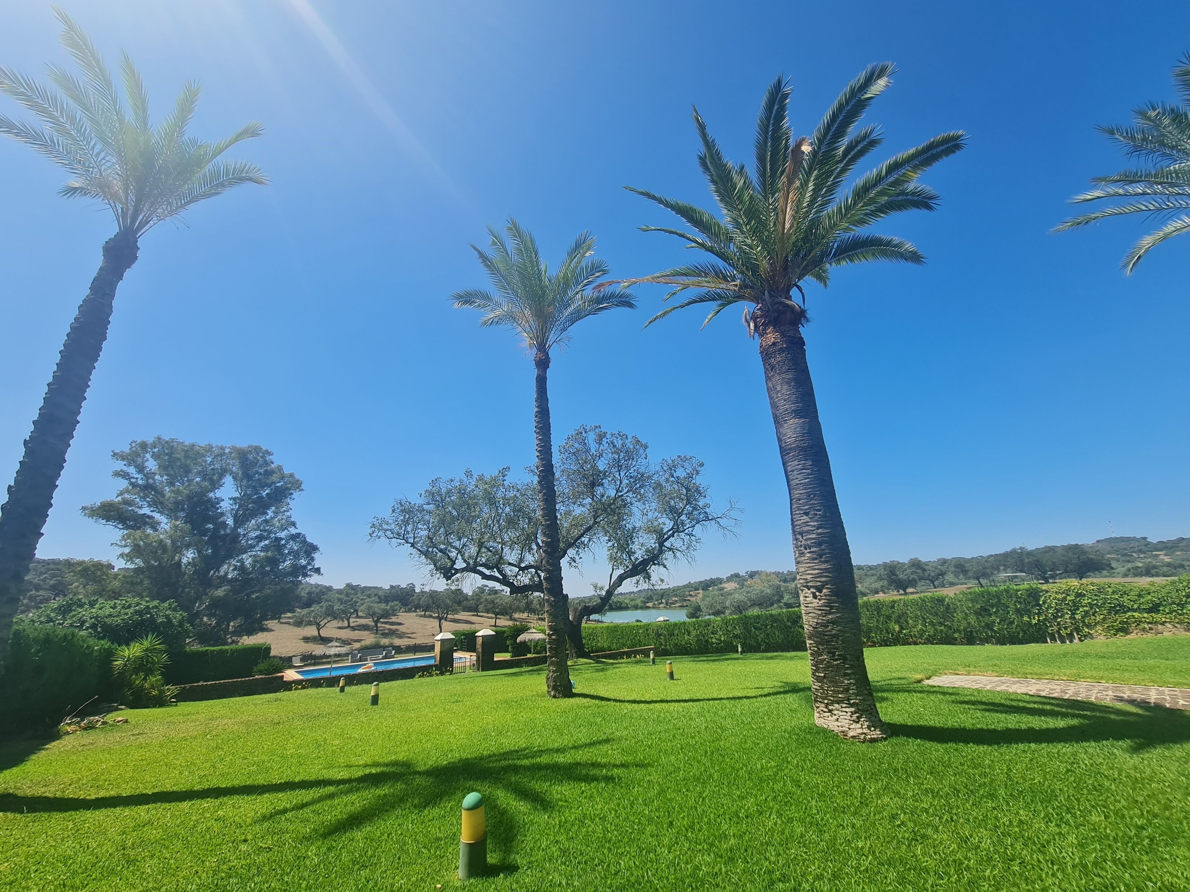 Jardines del alojamiento