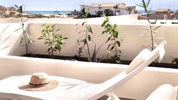 A rooftop terrace with white lounge chairs, a hat, and small plants.