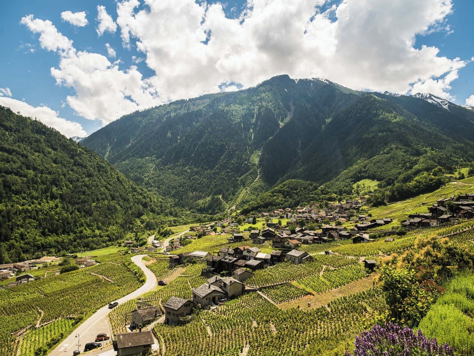 Un pueblo en la montaña con casas y viñedos.