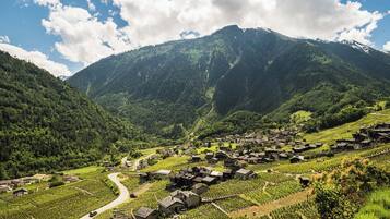 A mountainous village with houses and vineyards.
