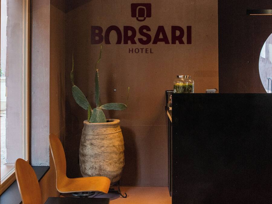 Zona de recepción con un cartel del Hotel Borsari, una planta en maceta grande, una silla de madera y una mesa pequeña con un tarro de vidrio.