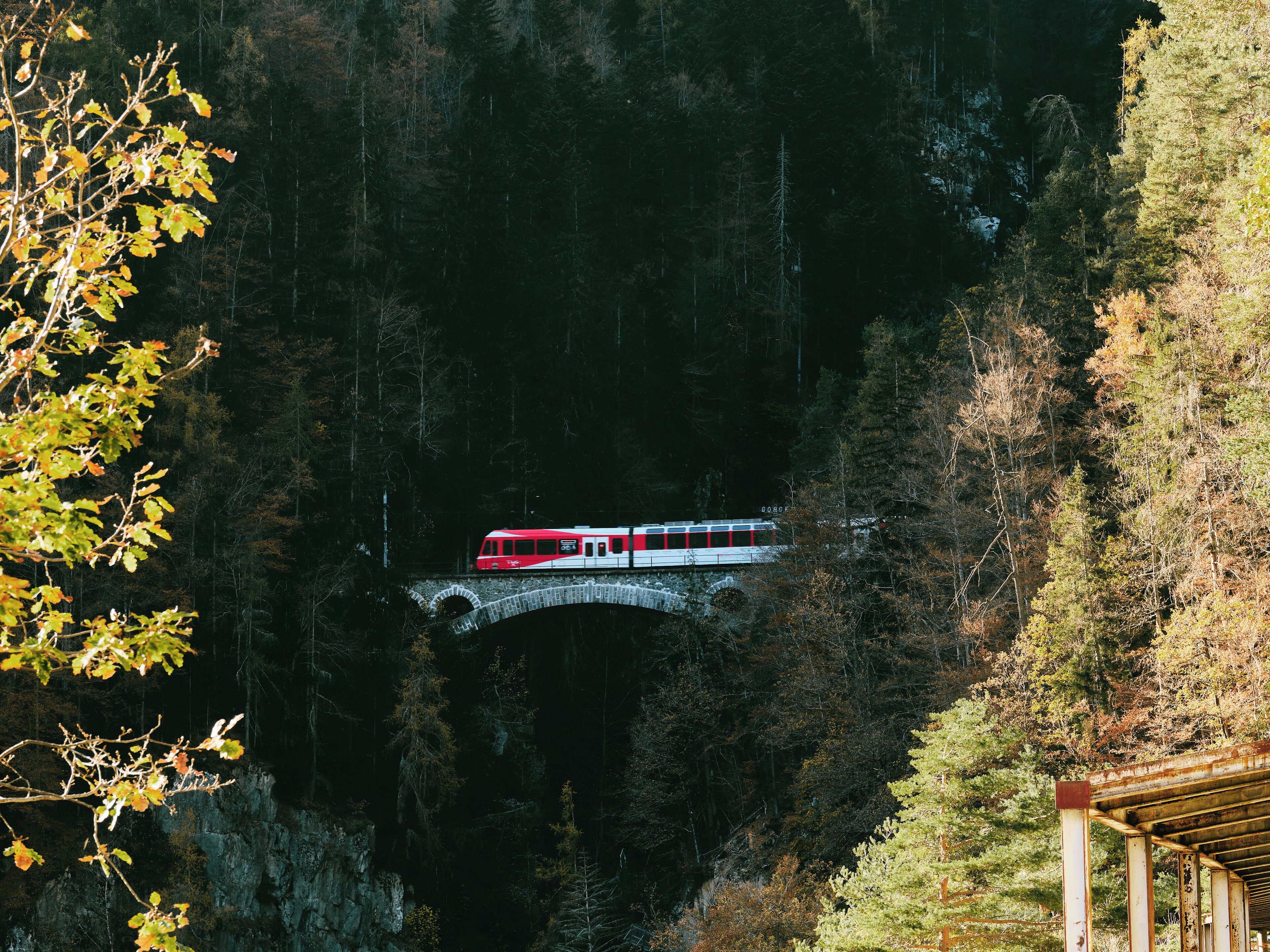 A red and white train on a bridge in a forested area.