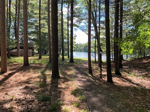 Property grounds - Loonsight - PET FRIENDLY (Minocqua)