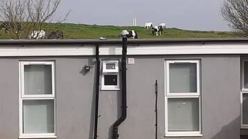 Apartment | Property grounds