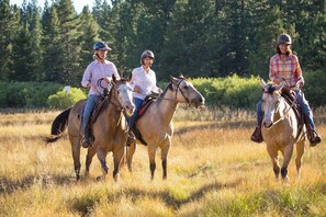 Miscellaneous - Beach Club Perks 4BR Family Cabin in Tahoe Donner (Truckee)
