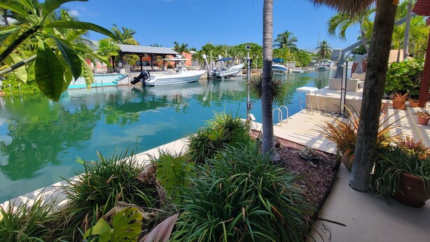 A clear view of a pool area with boats, palm trees, and a thatched roof structure.