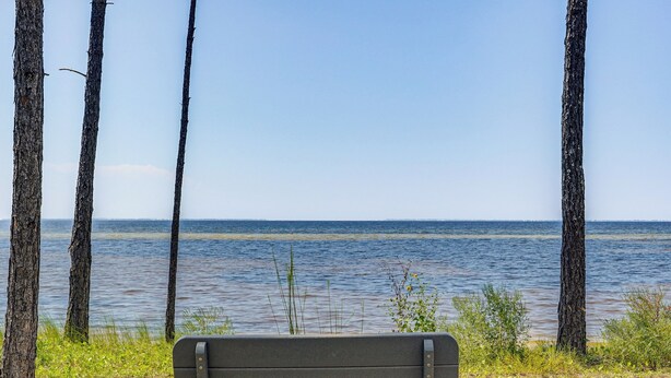 A bench facing a body of water with trees on either side. - Walk to Bay & Dtwn: Port St Joe Paradise w/ Grill! (Port St. Joe)