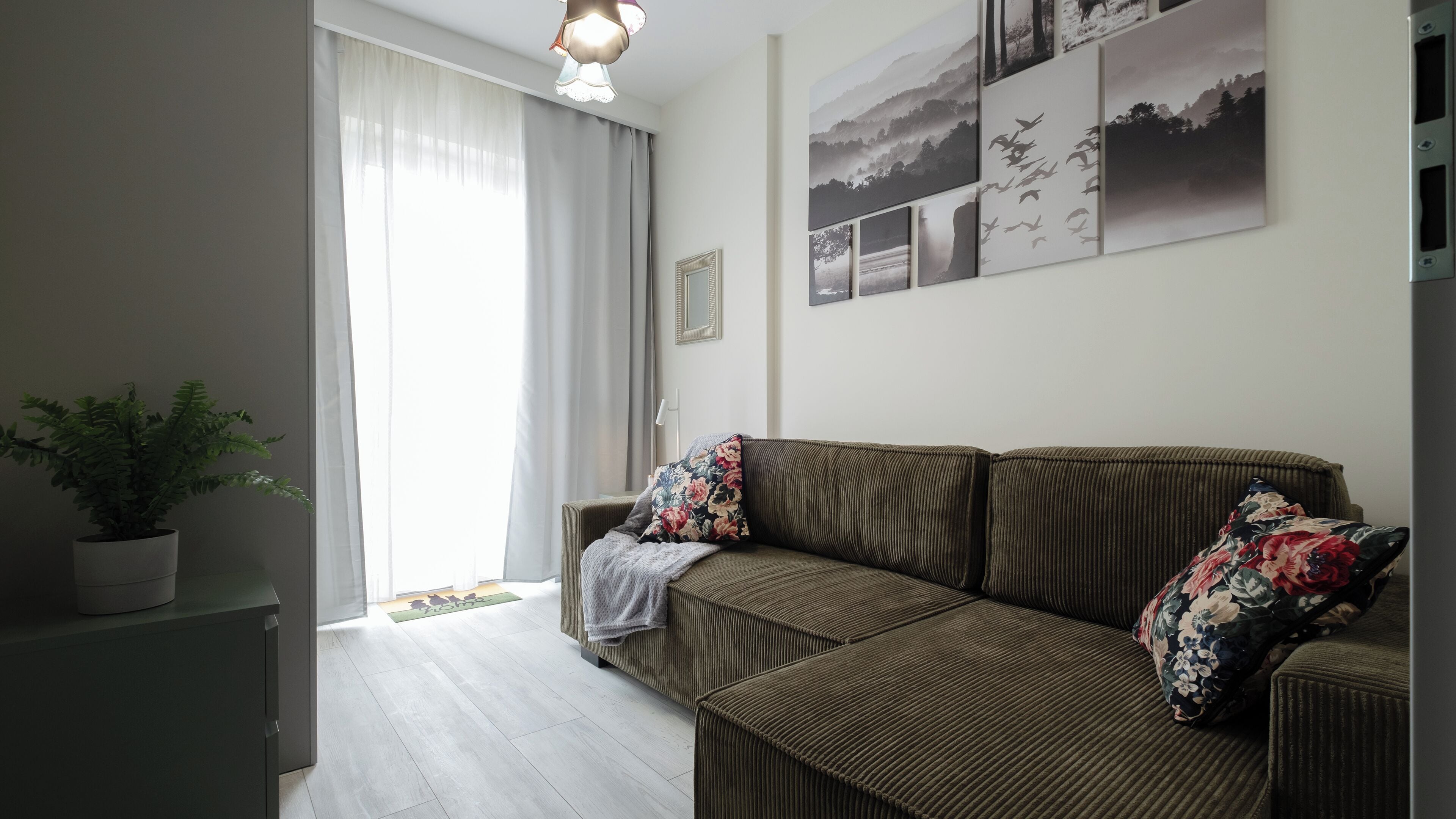 A living room with a sofa, a potted plant, and a wall with framed pictures.