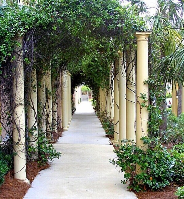 Property grounds - Adagio G-101 Pool-side 3/3 - Beautiful Corner Unit Newly Updated for 2025 (Santa Rosa Beach)