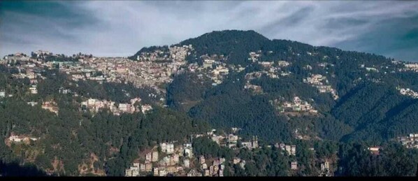 Utsikt från boendet