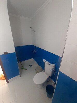 Shower, towels, soap, toilet paper