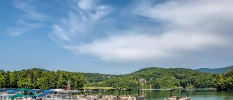 A marina with boats docked, surrounded by forested hills.