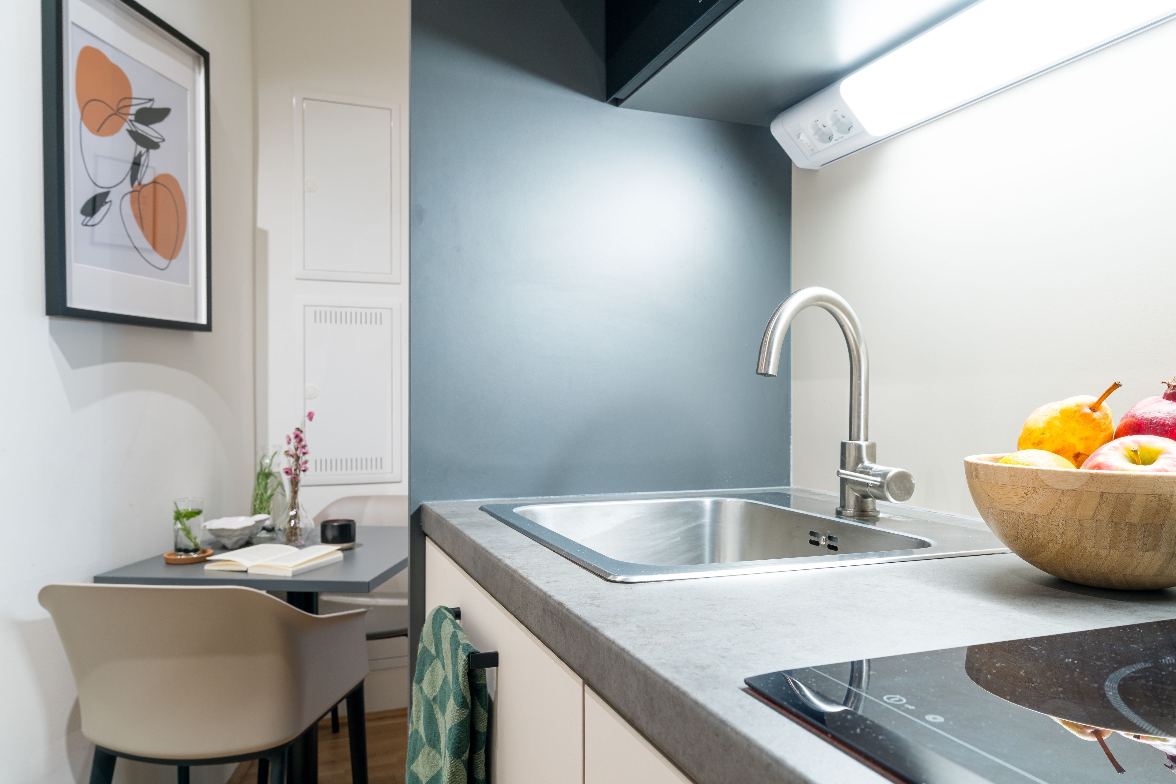 Fridge, microwave, stovetop, dishwasher