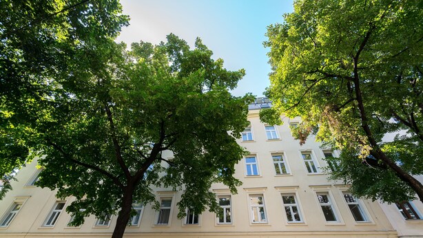 Un immeuble à plusieurs étages, avec une rangée de fenêtres et un arbre devant.