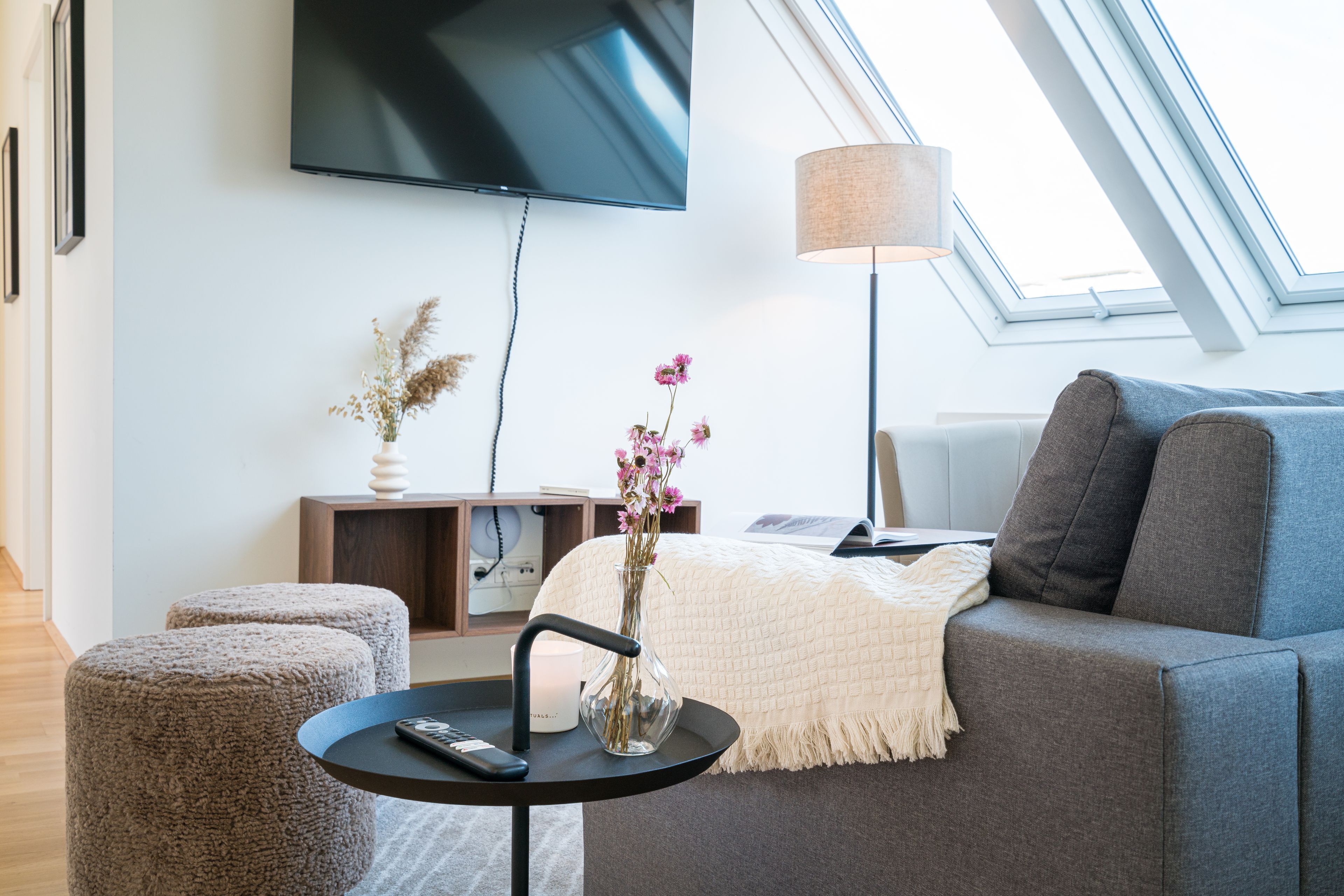 Fernseher