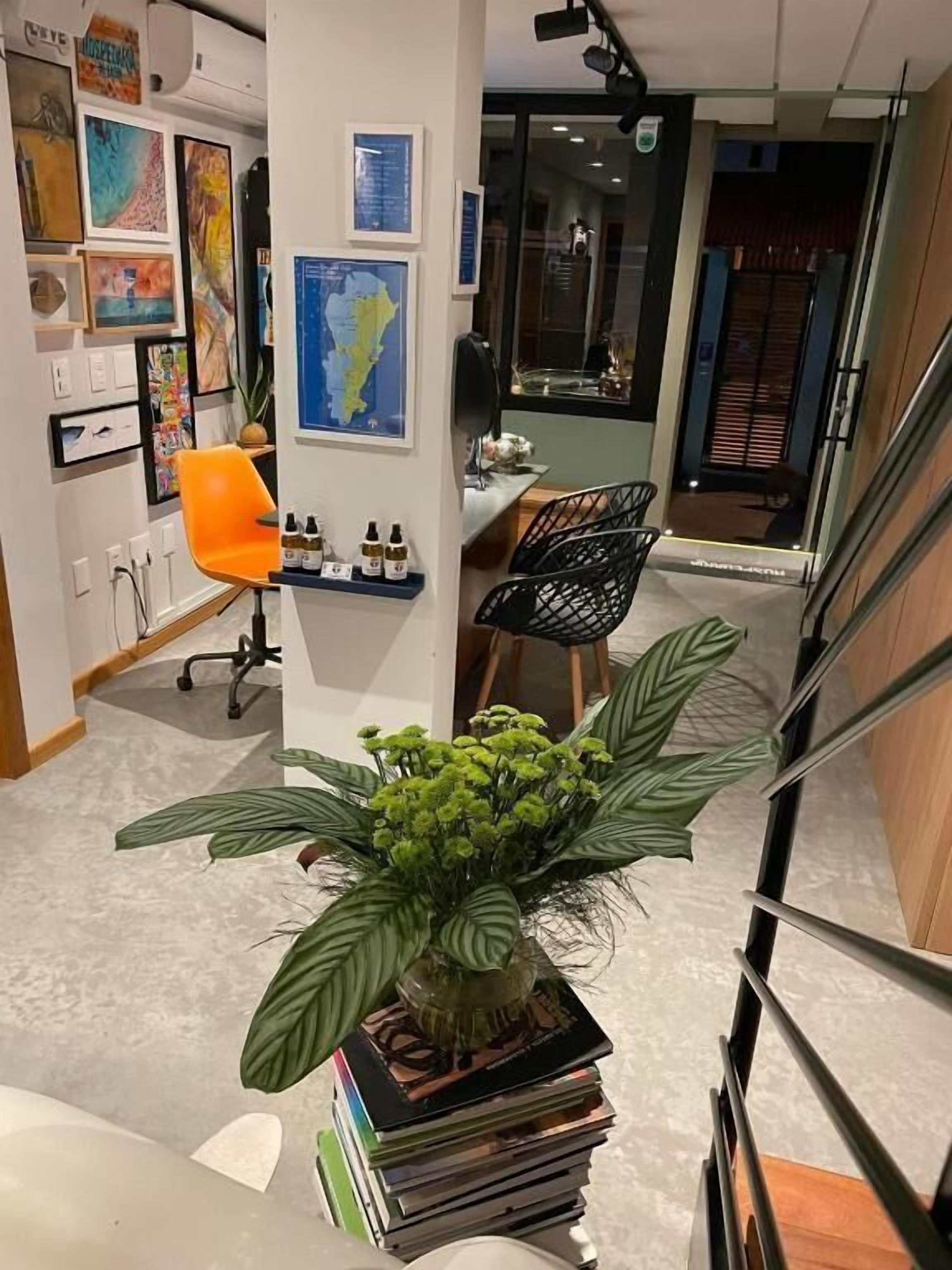 A modern office space with a desk, chair, and a potted plant.