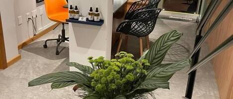 A modern office space with a desk, chair, and a potted plant.