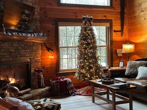 TV connectée, cheminée, table de tennis de table, livres
