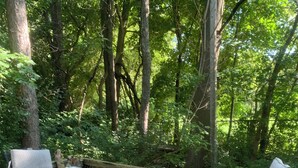 Una terrassa a l'aire lliure amb una taula i cadires, envoltada d'arbres.