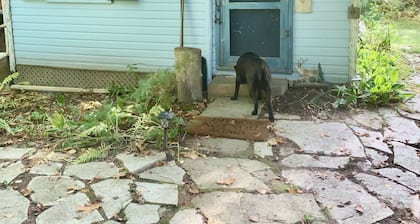 Unique, historical cabin in Brampton forest
