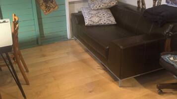 Smart TV, fireplace, DVD player, books