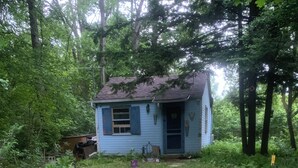 Una cabana rústica envoltada per un bosc dens.