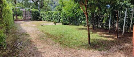 A pathway leading to a building with a covered entrance, surrounded by lush greenery and trees.