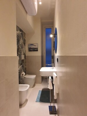 Shower, hair dryer, bidet, towels