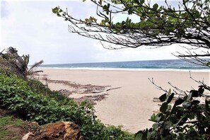 Une plage avec un rivage sablonneux, de la végétation et une vue sur l’océan.