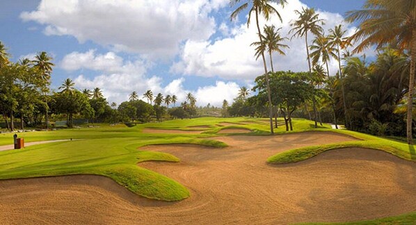 A golf course with sand bunkers, palm trees, and a clear sky. - #4 Beach Apt 2BR, 2BA - Jobos, Montones, Shacks (Isabela)