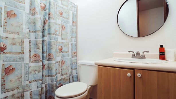 A bathroom with a toilet, a sink, a mirror, and a shower curtain with a seashell pattern. - #6 First floor 3br, 2ba Apartment @ Jobos Beach (Isabela)
