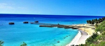 #8 Beach Apt 2BR, 2BA - Jobos, Montones, Shacks