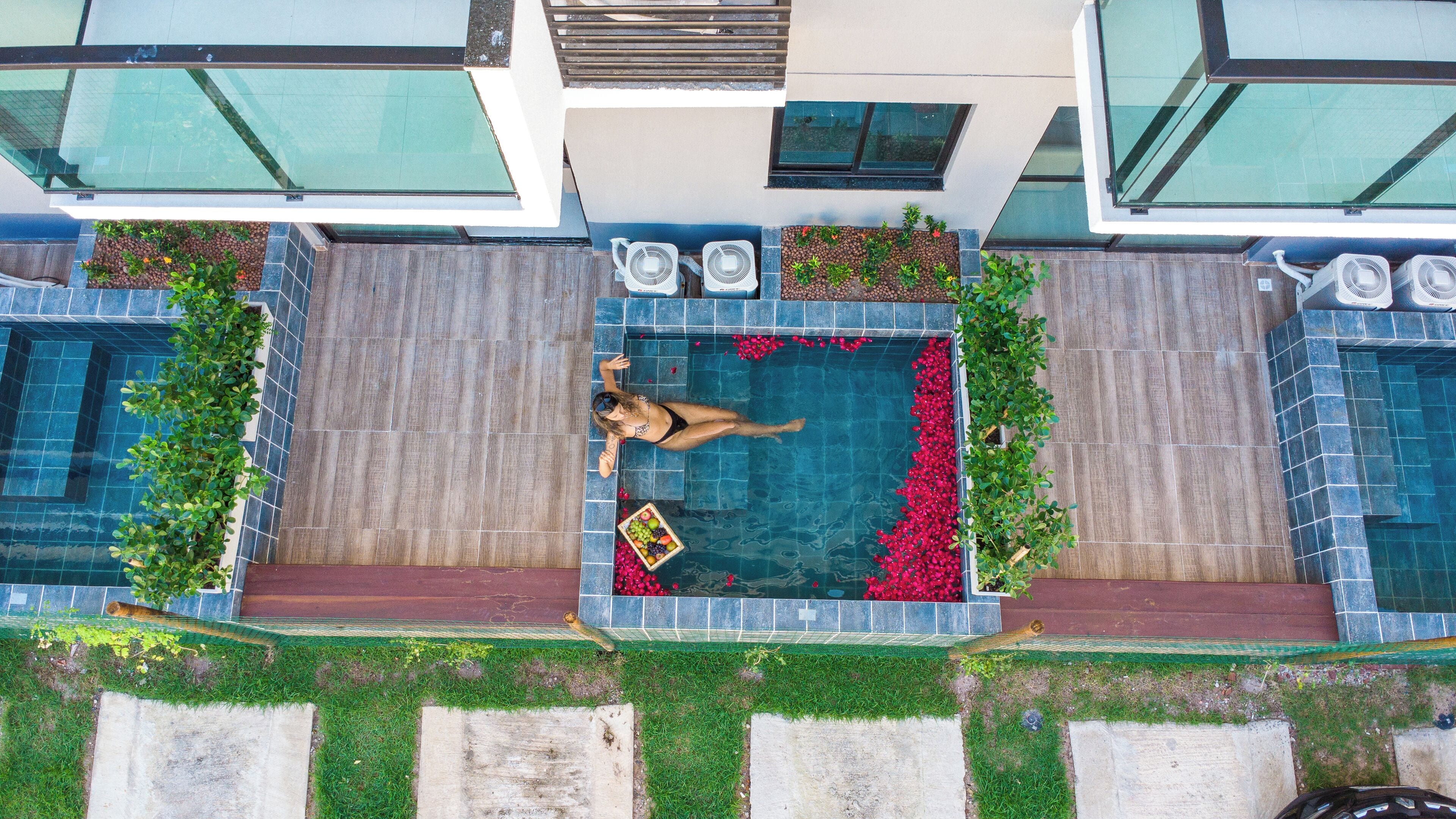 Una piscina en la azotea con una persona nadando, rodeada de plantas y flores.