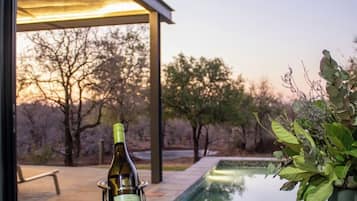 Outdoor pool, pool loungers